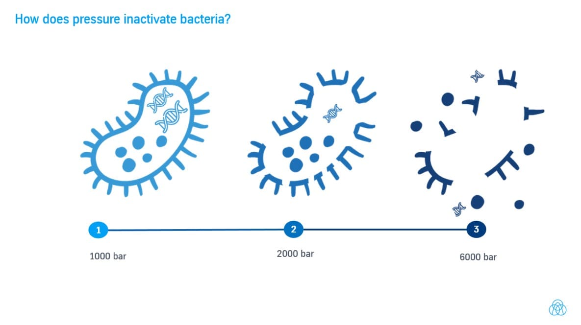 Как давление дизактивирует бактерии